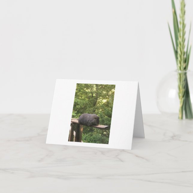 Gulligt djurt kort för någon som du att bry sig (Framsida)