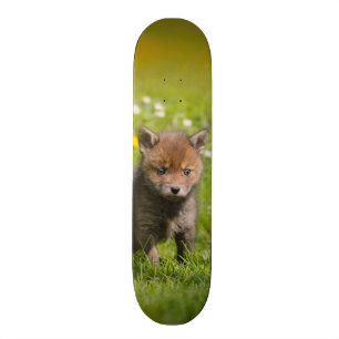 Gulligt fluffigt rött foto för baby djur för skateboard bräda 20 cm