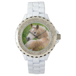Gulligt föl för Haflinger häst i en blomsterrab Armbandsur