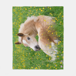 Gulligt föl för Haflinger häst som vilar Fleecefilt