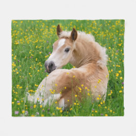 Gulligt föl för Haflinger häst som vilar Fleecefilt