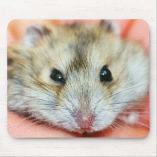 Gulligt Hamsteransikte 2 Musmatta