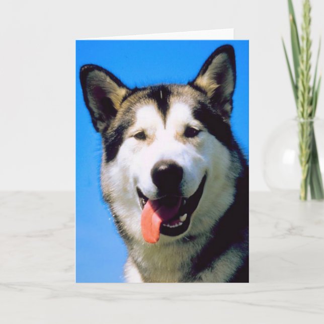 Gulligt husky kort för hälsning för (Framsida)
