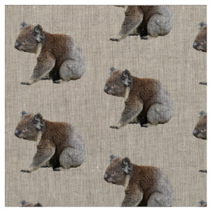 Gulligt Koalafototryck Tyg