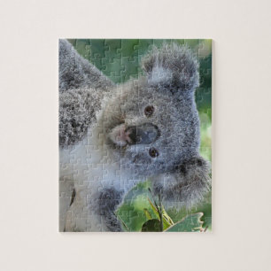 Gulligt koalapussel pussel