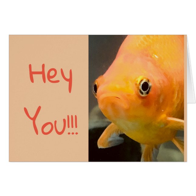 Gulligt kort för akvarium (Framsidan Horizontal)