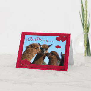 Gulligt kort för Alpacavalentines dayhälsning