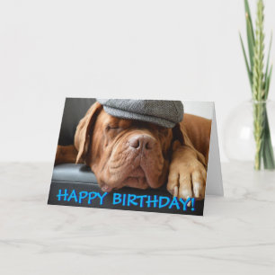 Gulligt kort för dogue de bordeaux fotofödelsedag