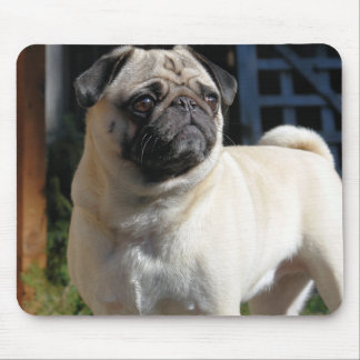 Gulligt lisma mops Mousepad Musmatta