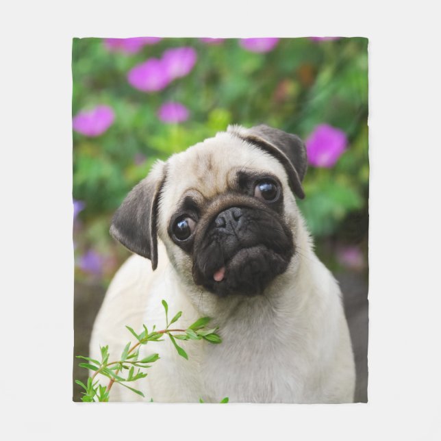 Gulligt lisma mopsvalpvovven, komfort fleecefilt (Framsidan)