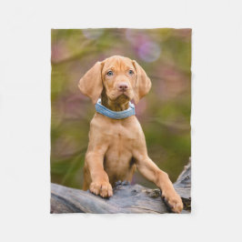 Gulligt puppyeyed ungerskt foto //för Vizsla Fleecefilt