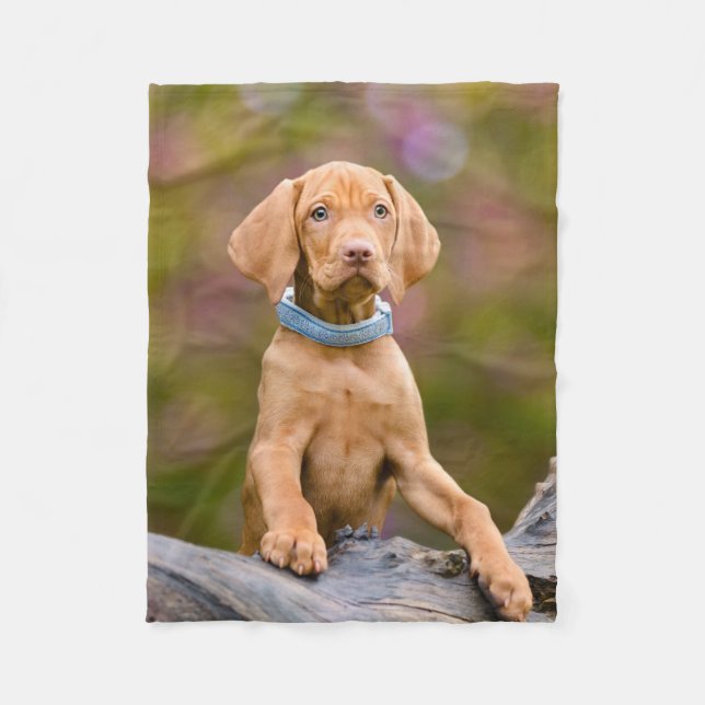 Gulligt puppyeyed ungerskt foto //för Vizsla Fleecefilt (Framsidan)