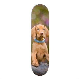 Gulligt puppyeyed ungerskt foto för Vizsla Old School Skateboard Bräda 18 Cm