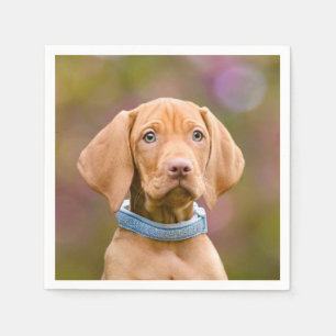 Gulligt puppyeyed ungerskt foto för Vizsla Pappersservett