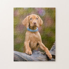 Gulligt puppyeyed ungerskt foto för Vizsla Pussel