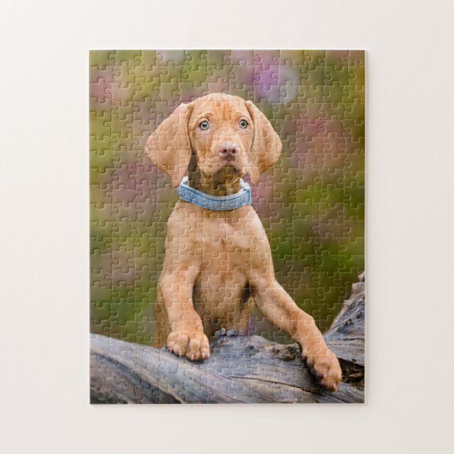 Gulligt puppyeyed ungerskt foto för Vizsla Pussel (Vertikal)