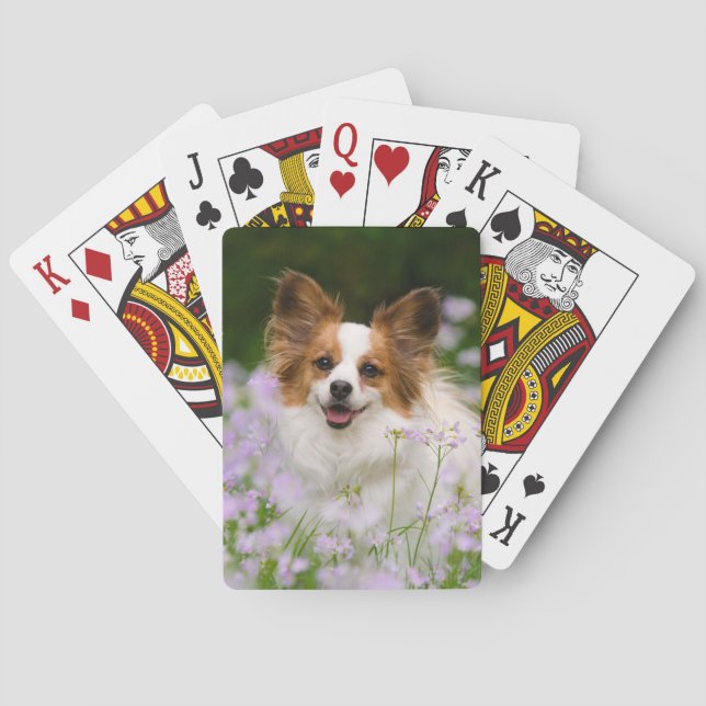 Gulligt romantiskt porträtt för Papillon hund som Kortlek (Baksidan)