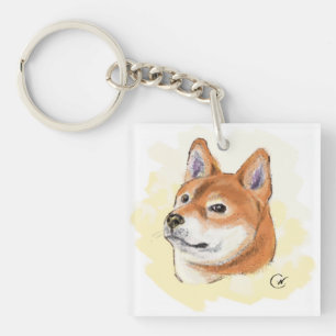 Gulligt Shiba Inu hundporträtt