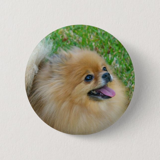 Gulligt som en blondin knäppas knapp (Framsida)