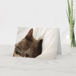 Gulligt sova tomt hälsningkort för katt kort