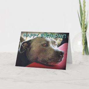 Gulligt staffy skräddarsy hälsningkort kort