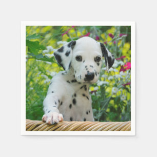 Gulligt svart prickigt Dalmatian foto för Pappersservett