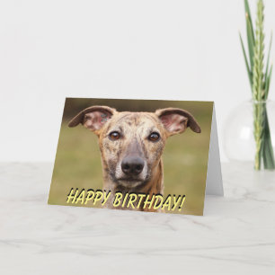 Gulligt whippetfödelsedagkort kort