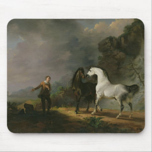 Gulliver som tilltalar Houyhnhnmsen, 1769 (olja p Musmatta