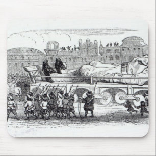 Gulliver transporterade till lilliputianen musmatta