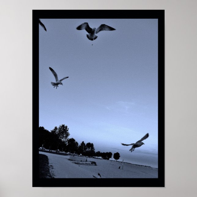 Gulls, avbruten poster (Framsidan)