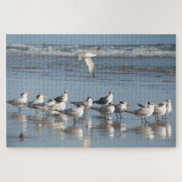 Gulls på Florida-stranden Pussel