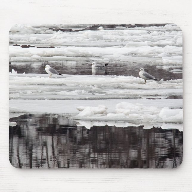 Gulls på is musmatta (Framsidan)