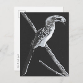 Gulnäbbad hornkorp, Kalahari djur Vykort