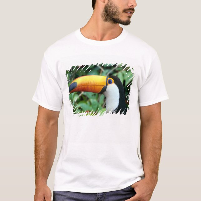 Gulnäbbad tukan t-shirt (Framsida)