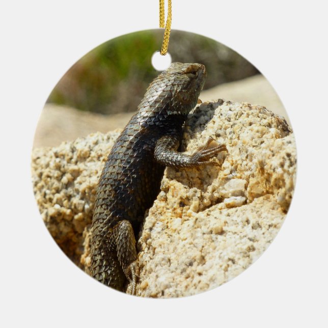 Gulryggad taggödla vid Joshua Tree Julgransprydnad Keramik (Framsidan)