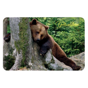 Gulsten Magnet-Brown Bear Magnet