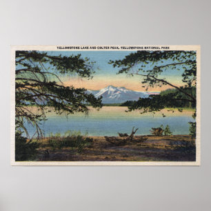 Gulsten, WY - Yellowstone Sjö och Colter Poster