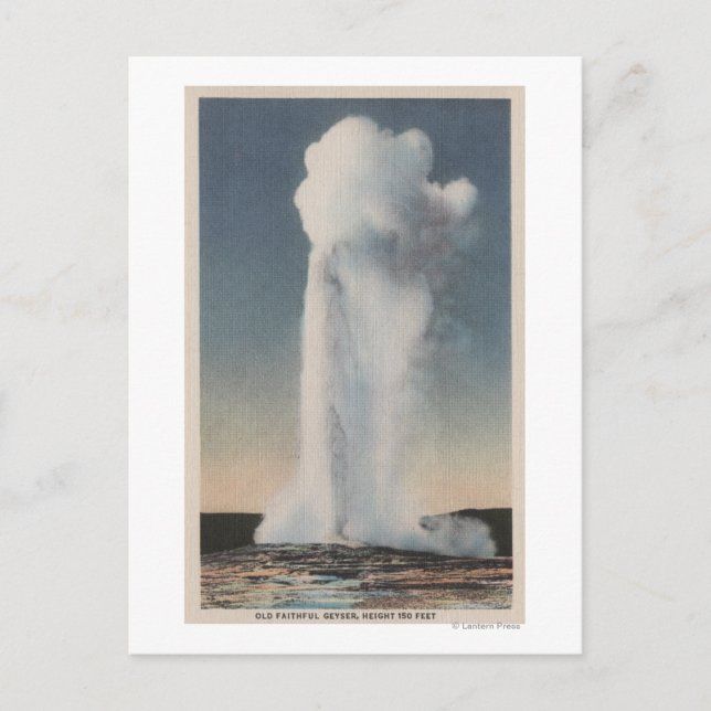 Gulsten, WYView of Old Faithful Erupting Vykort (Framsida)