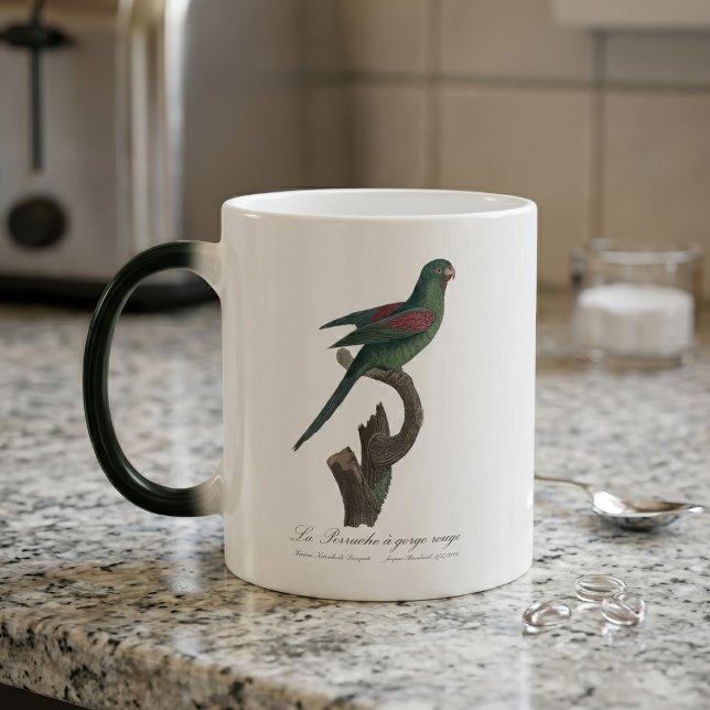 Gulstrupig parakit, Brotogeris jugularis Magisk Mugg (Orange-Chinned Parakeet, Brotogeris jugularis. Color Morph Mug)