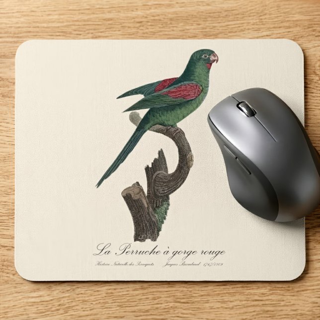 Gulstrupig parakit, Brotogeris jugularis Musmatta (Orange-Chinned Parakeet, Brotogeris jugularis. Mouse Pad)