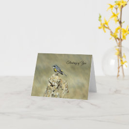 Gulsvansångare - Tänker på Dig Kort