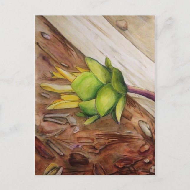 "Gult 1" Vykort (Framsida)