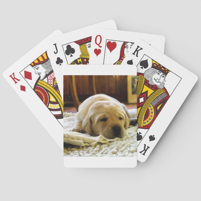gult 2 labbvalp casinokort (Baksidan)