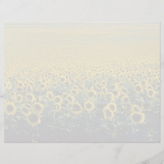 gult A Solros fält i spanska blommor (Framsida)