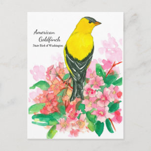Gult American Goldfinch State Bird of Washington Vykort