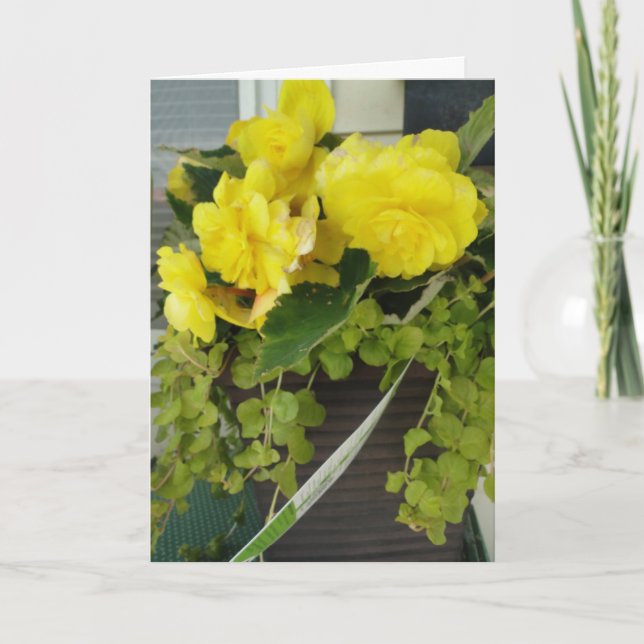 Gult Angel Vinge Begonias, tänker på dig Kort (Framsida)