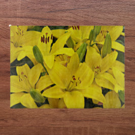 Gult Asiatic Lilies Blommigt