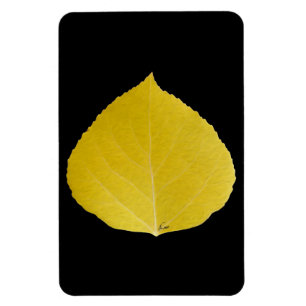 Gult Aspen Löv #5 Magnet