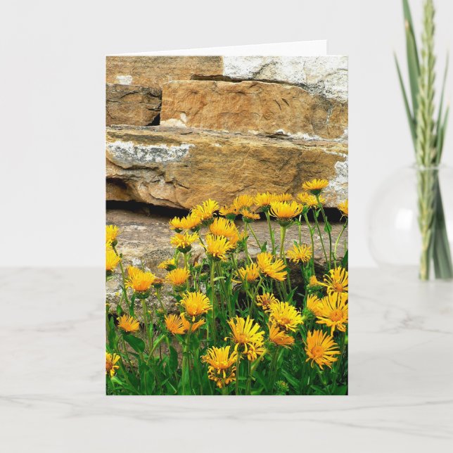 Gult Asters Tack Kort (Framsida)