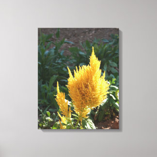 Gult Astilbe-blomma Canvastryck